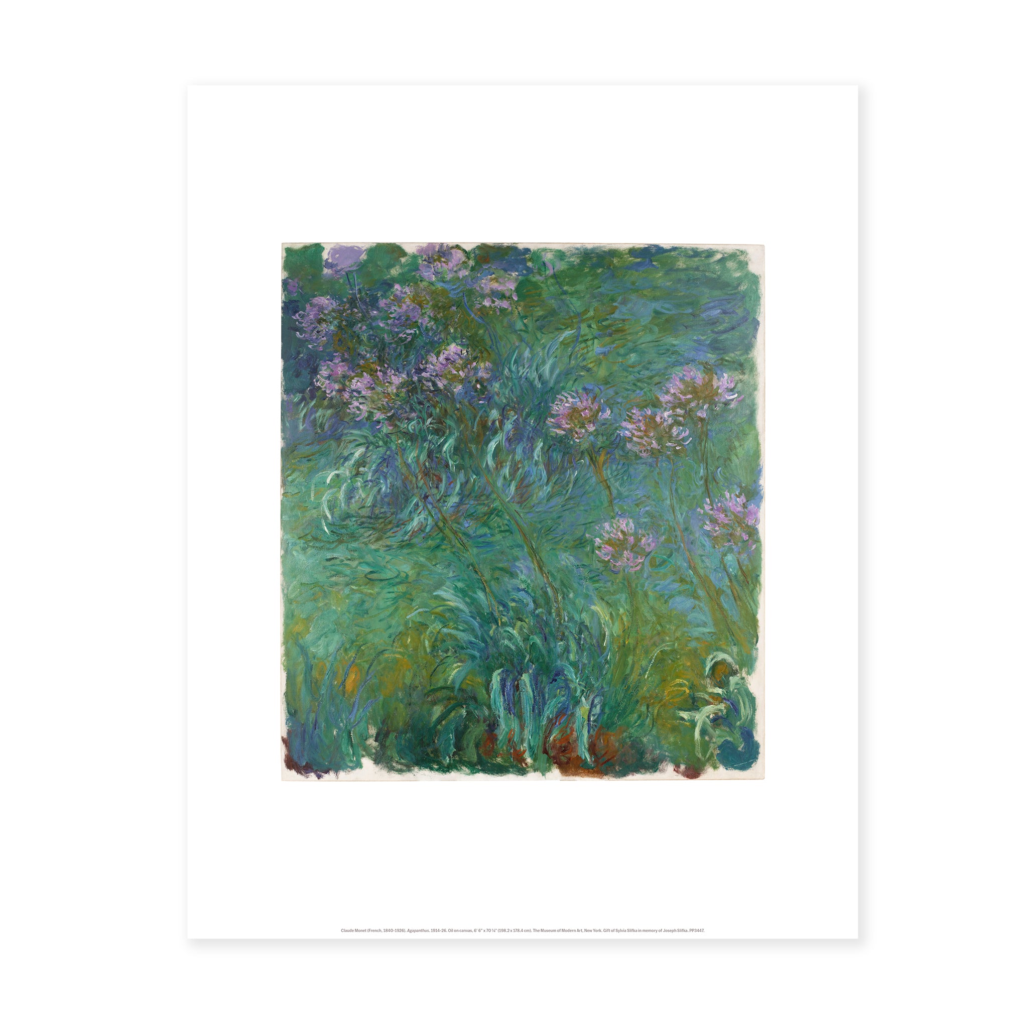 Claude Monet Agapanthus Art Print - Museum Quality Reproduction